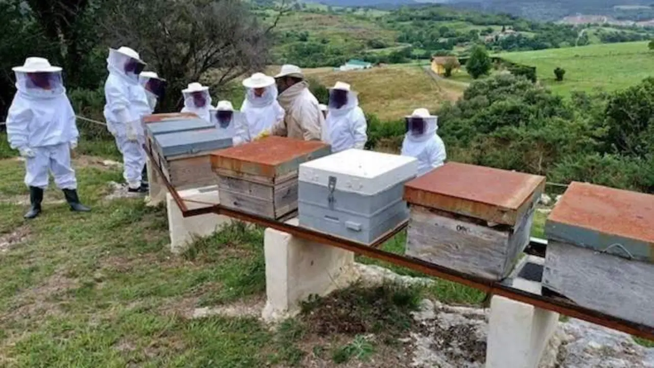Varias personas en a granja de abejas de Cantabria. / C.C.N
