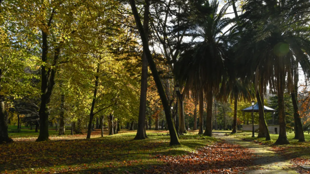 Jard&iacute;n bot&aacute;nico de Alceda. / C.T