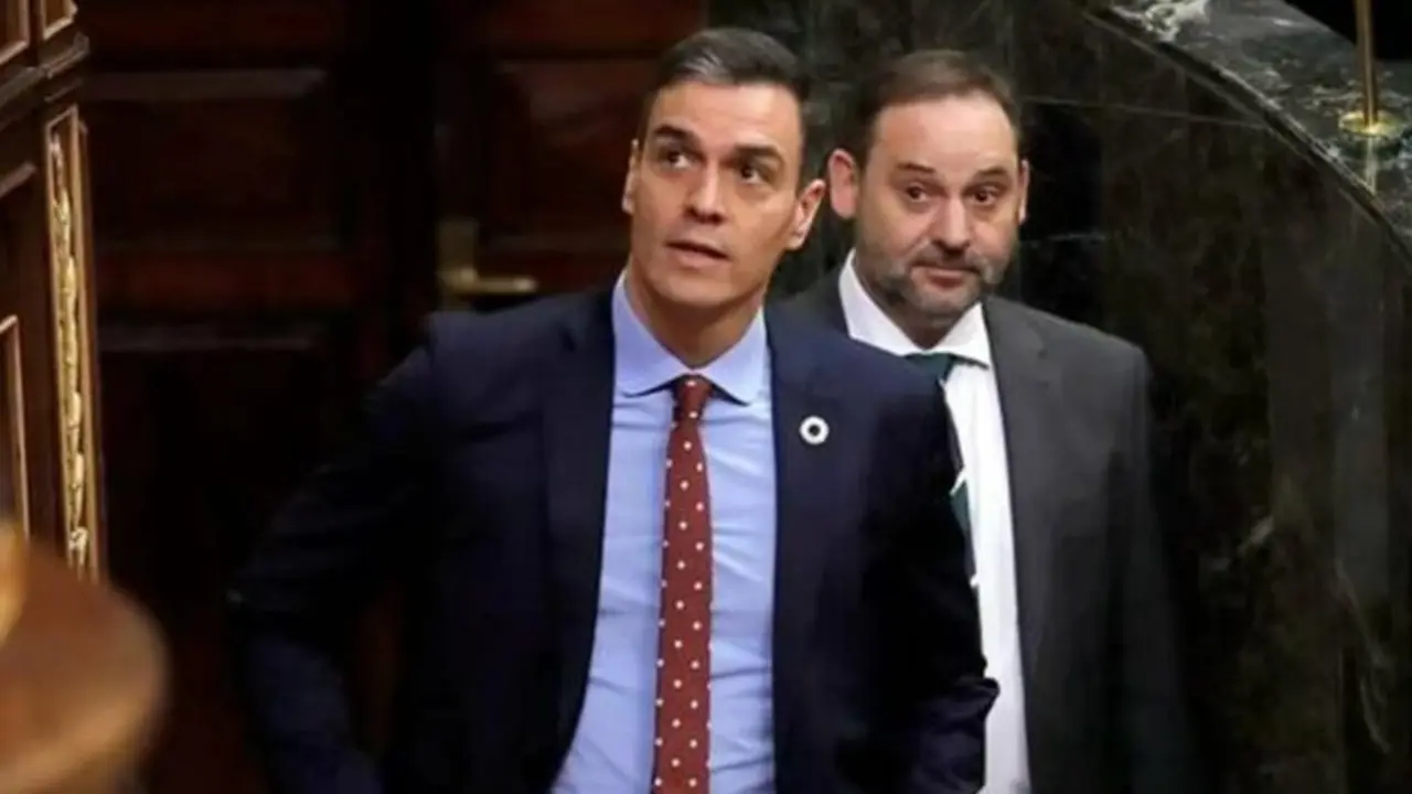 &Aacute;balos detr&aacute;s de S&aacute;nchez.