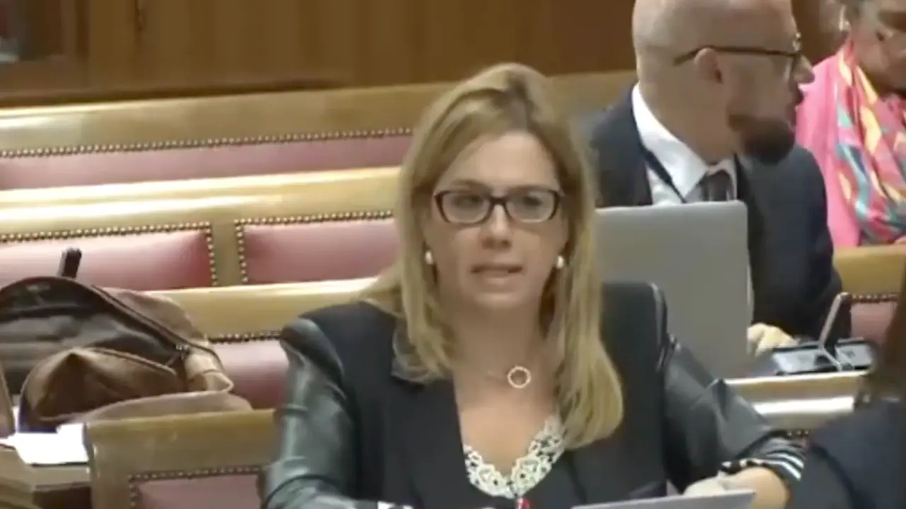 Elena Castillo, senadora del PP por Cantabria durante la sesi&oacute;n de hoy en el Congreso. / A.E.