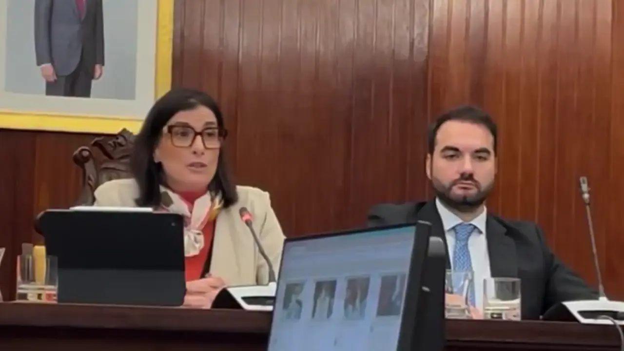 Captura de pantalla 2024-11-20 a las 17.14.55