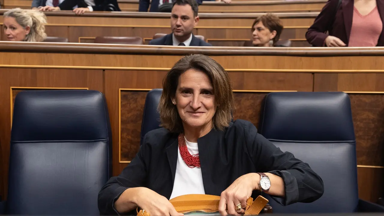 La vicepresidenta tercera y ministra para la Transici&oacute;n Ecol&oacute;gica, Teresa Ribera. / Eduardo Parra