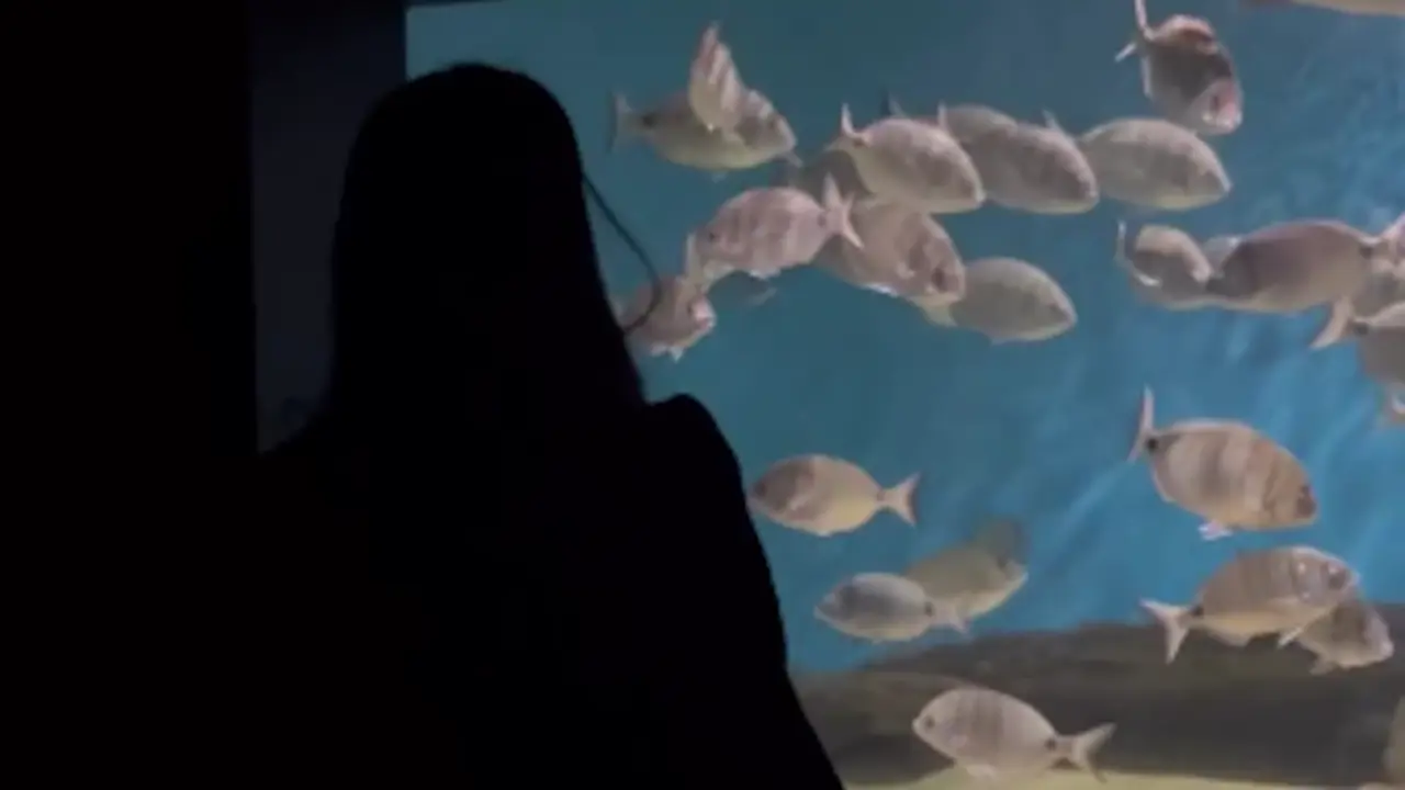 Una persona en el Museo mar&iacute;timo. RRSS