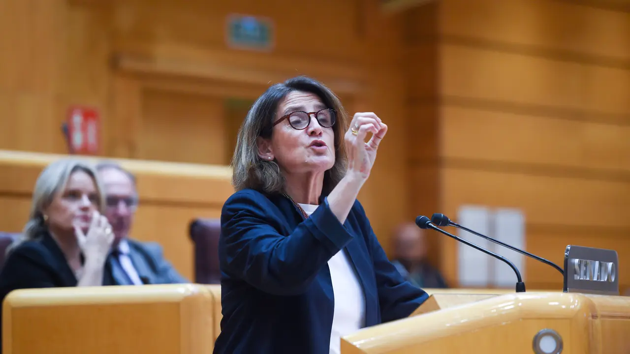 La vicepresidenta tercera y ministra para la Transici&oacute;n Ecol&oacute;gica y el Reto Demogr&aacute;fico, Teresa Ribera, interviene durante el pleno del Senado. / Gustavo Valiente