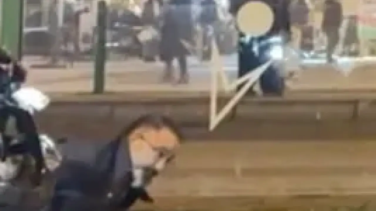 El autor (50, l.) es detenido por la polic&iacute;a tras la campa&ntilde;a de exterminio cerca del mercado navide&ntilde;o.