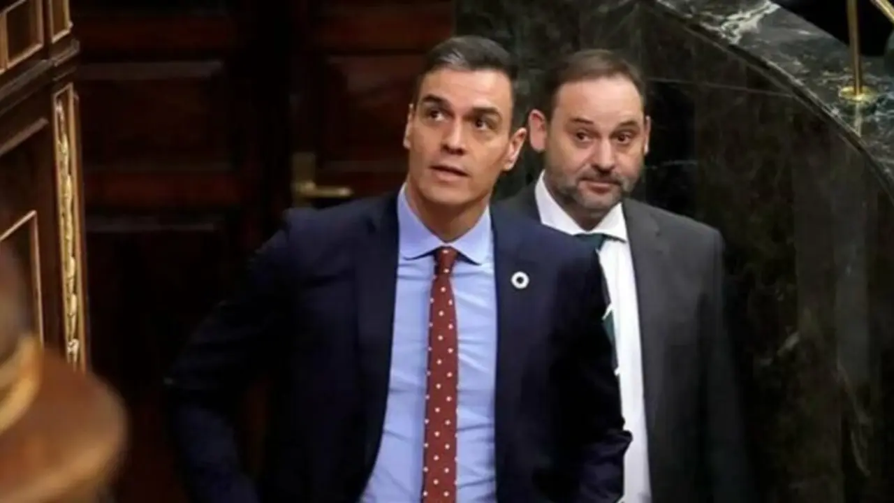 &Aacute;balos detr&aacute;s de S&aacute;nchez.