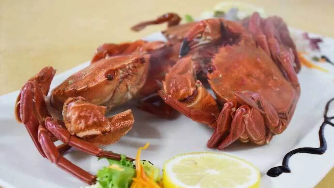 Un plato del restaurante Labu de Ajo. / L.A