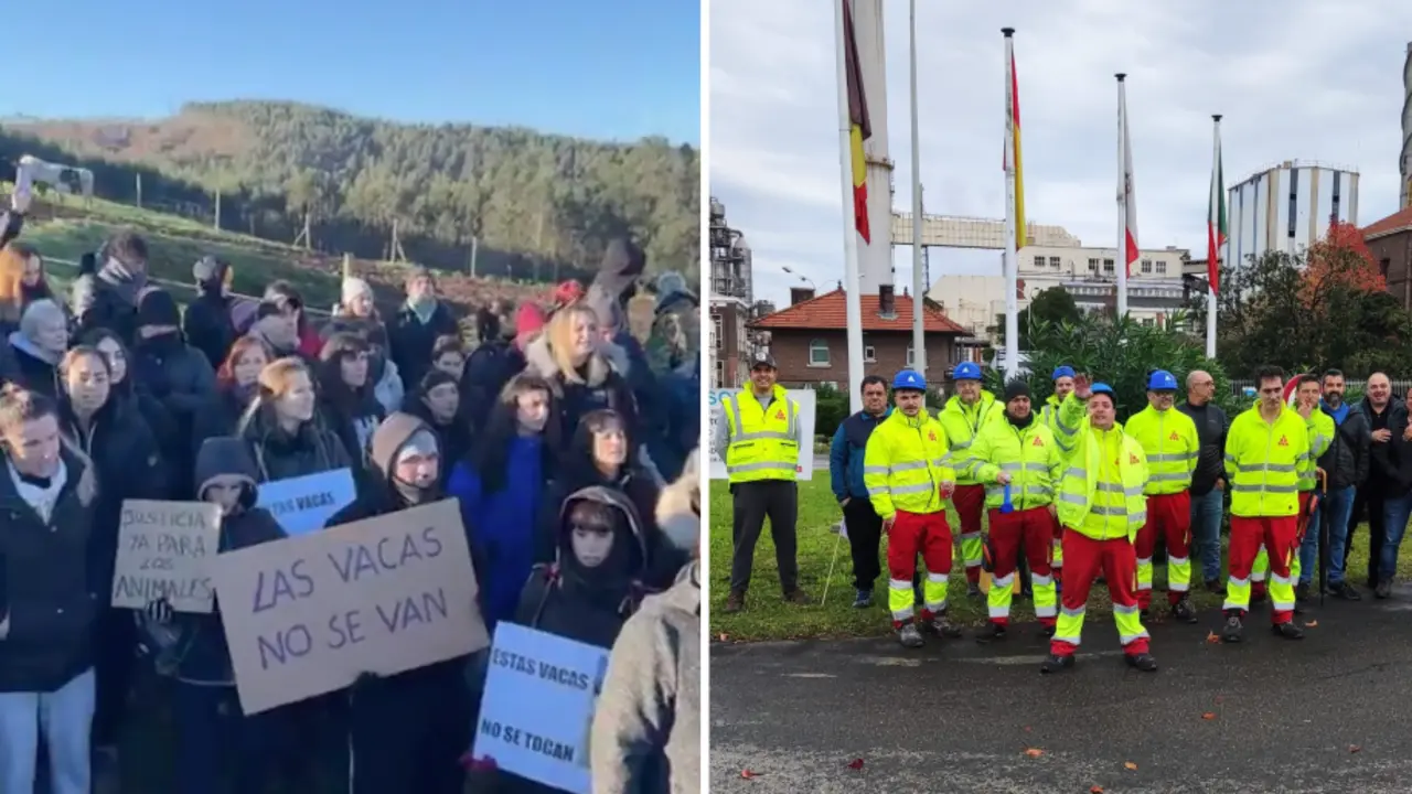 A la izquierda, manifestantes defendiendo las vacas del refugio La Manada C&aacute;ntabra en Escobedo de Camargo. A la derecha, trabajadores de Katoen Natie en huelga frente a Solvay en Barreda, reclamando mejoras laborales. Un contraste que invita a reflexionar sobre las prioridades sociales.