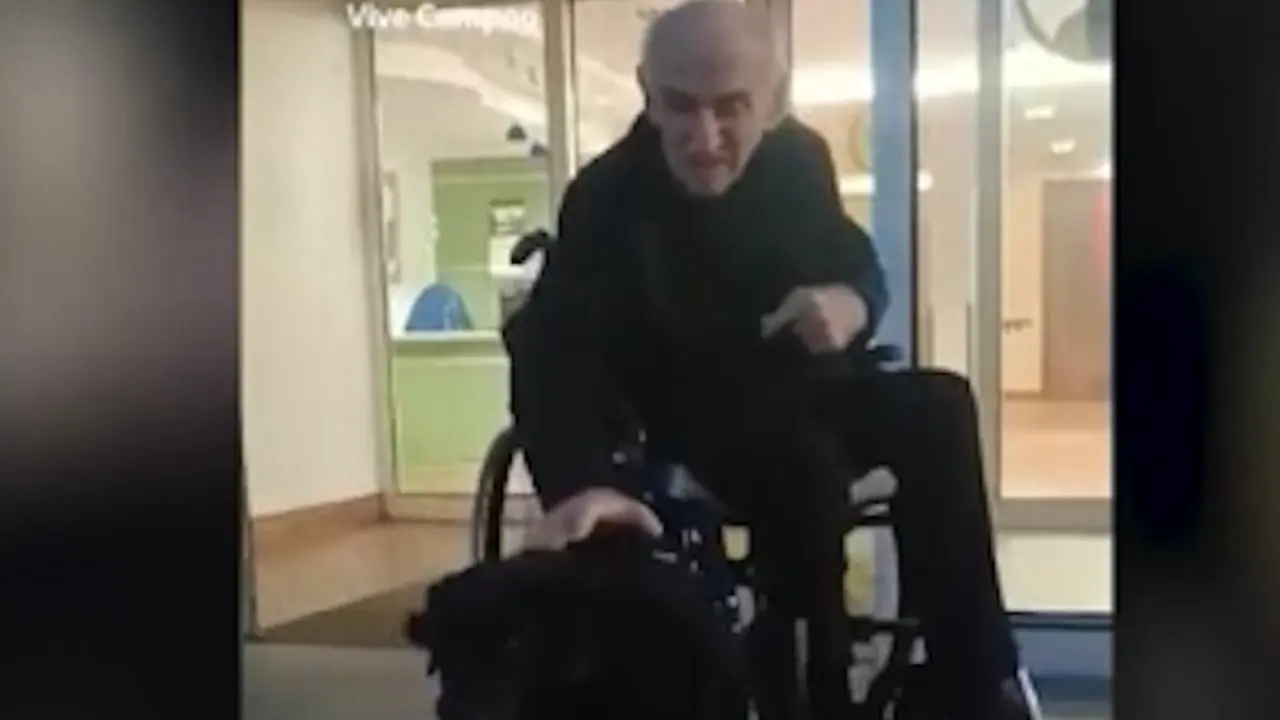 El perro en su llegada a la residencia. / Tiktok