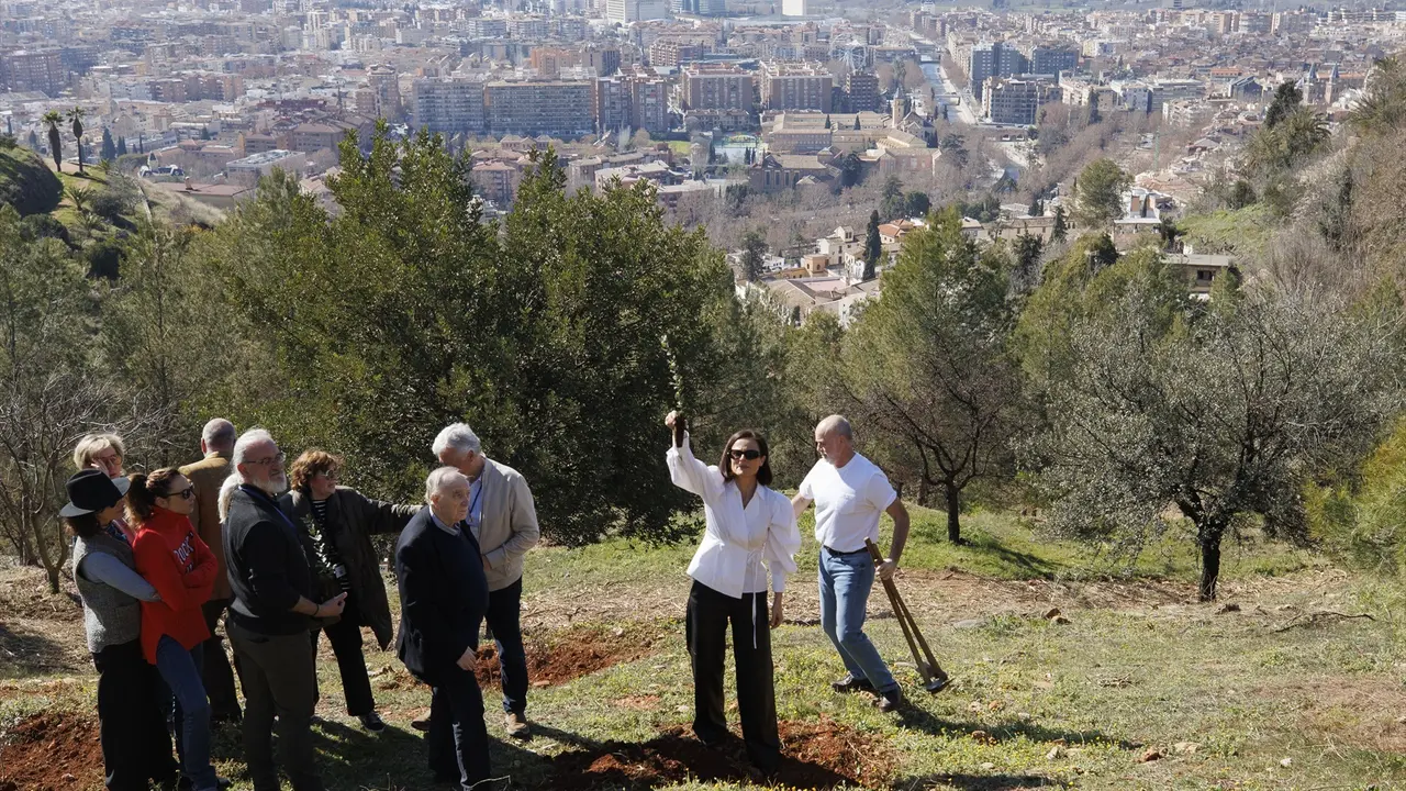 Las actrices Maribel Verd&uacute;, Leonor Watling y Aitana S&aacute;nchez-Gij&oacute;n participan en una plantaci&oacute;n de encinas en Granada. / &Aacute;LEX C&Aacute;MARA