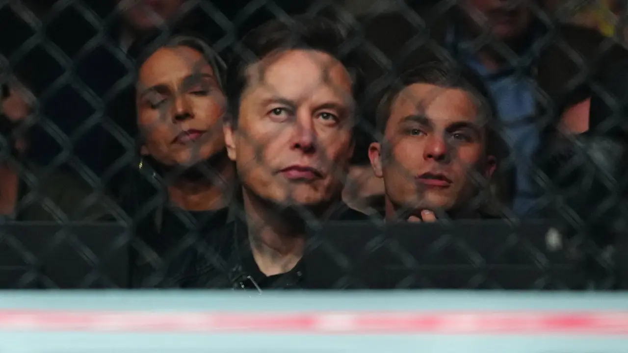 Elon Musk en una pelea de la UFC. / Louis Grasse