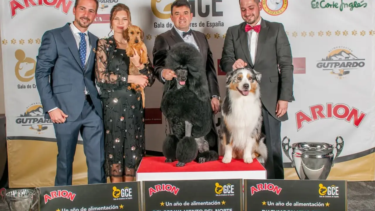 El Top 3 de la I Gala de Criadores de Espa&ntilde;a. / G.C.E.