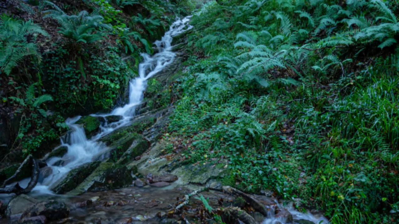 Barranco del Diablo, parque natural del Saja-Besaya, Cantabria. / A.S.