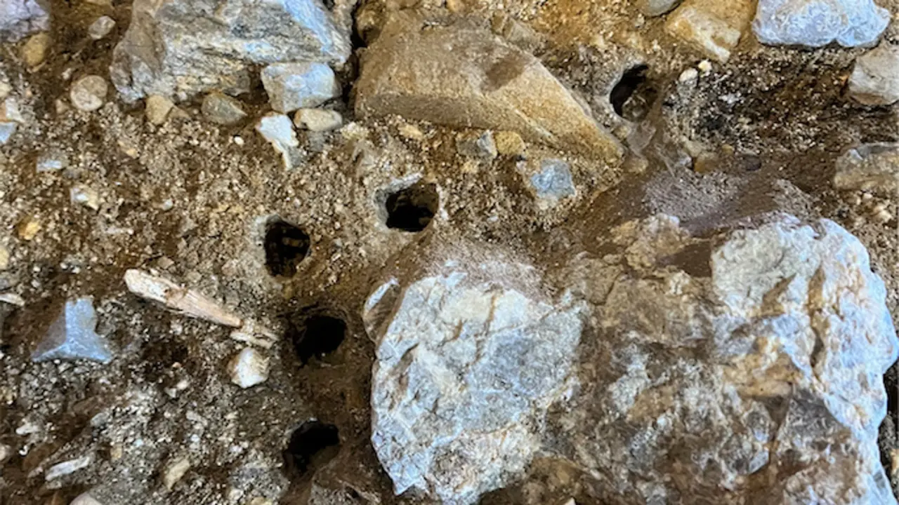 Detalle de los sedimentos muestreados en la Cueva de El Mir&oacute;n. / Pere Gelabert / UC