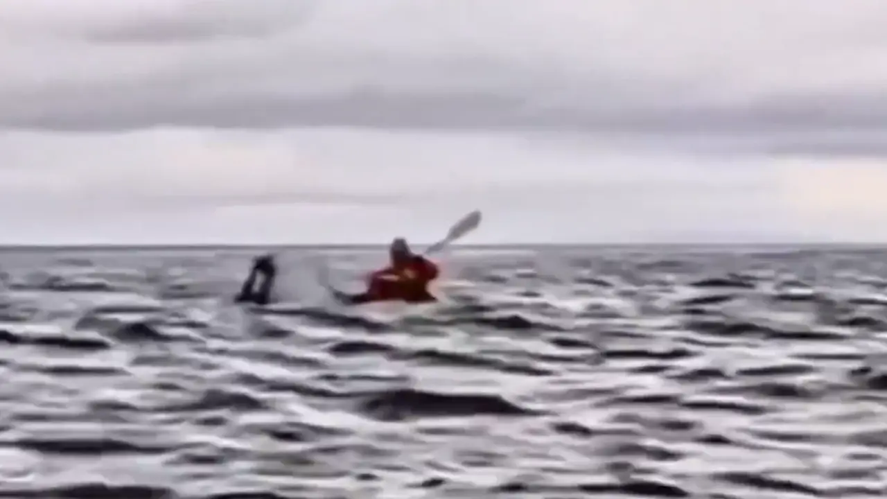 El hombre antes de ser tragado por la ballena. / X