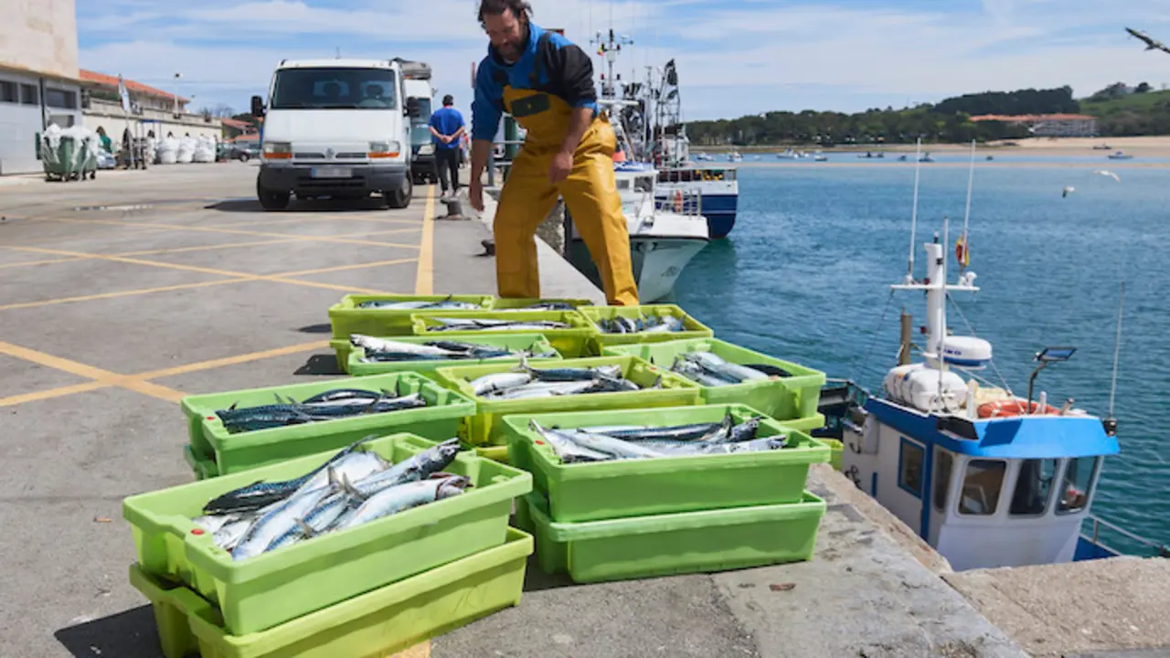 Un hombre y cajas de pescado en las inmediaciones donde est&aacute; amarrado un barco gallego del que un pescador cay&oacute; al mar y se encuentra desaparecido, durante un dispositivo de b&uacute;squeda en el puerto de San Vicente de la Barquera, a 25 de abril de 2023, en San Vicente de la Barquera, Cantabria (Espa&ntilde;a). Salvamento Mar&iacute;timo ha activado a primera hora de hoy la b&uacute;squeda de un pescador de un barco gallego desaparecido al caer al mar a cinco millas al norte de San Vicente de la Barquera. El pescador se encontraba faenando a bordo del barco 'Novo Xoel', con base en Camari&ntilde;as (La Coru&ntilde;a) cuando cay&oacute; al agua. El hombre llevaba puesto el chaleco salvavidas y ropa de agua, de acuerdo con la informaci&oacute;n facilitada desde el pesquero del que era tripulante.
25 ABRIL 2023;MAR;SAN VICENTE DE LA BARQUERA;DISPOSITIVO;B&Uacute;SQUEDA;SALVAMENTO MAR&Iacute;TIMO
C&eacute;sar Ortiz / Europa Press
(Foto de ARCHIVO)
25/4/2023