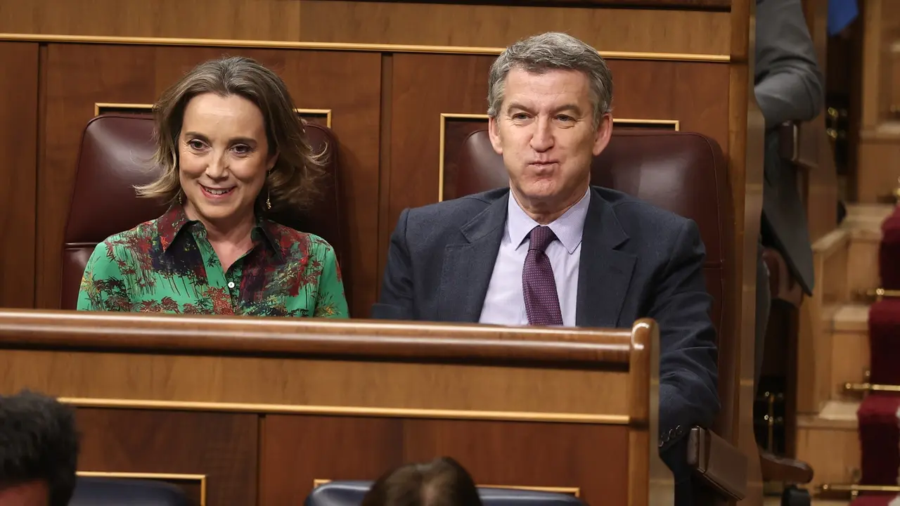 La secretaria general del PP, Cuca Gamarra, y el presidente del PP, Alberto N&uacute;&ntilde;ez Feij&oacute;o, durante un pleno en el Congreso de los Diputados. / Eduardo Parra
