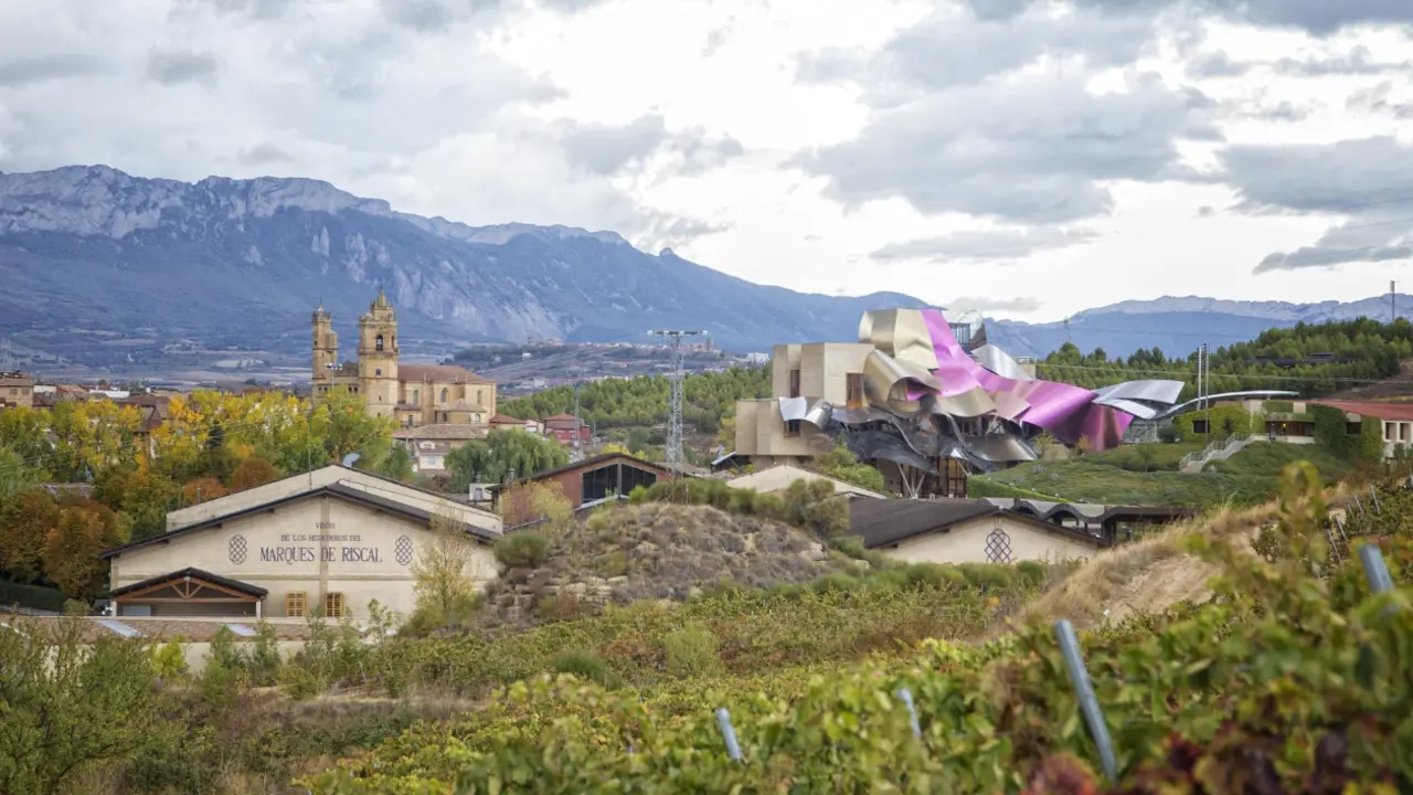 Vista del pueblo de Elciego y una de las bodegas de vino ubicadas en el pueblo. / Redes sociales