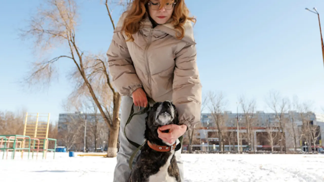 Una ni&ntilde;a con su perro en la nieve. / A.E