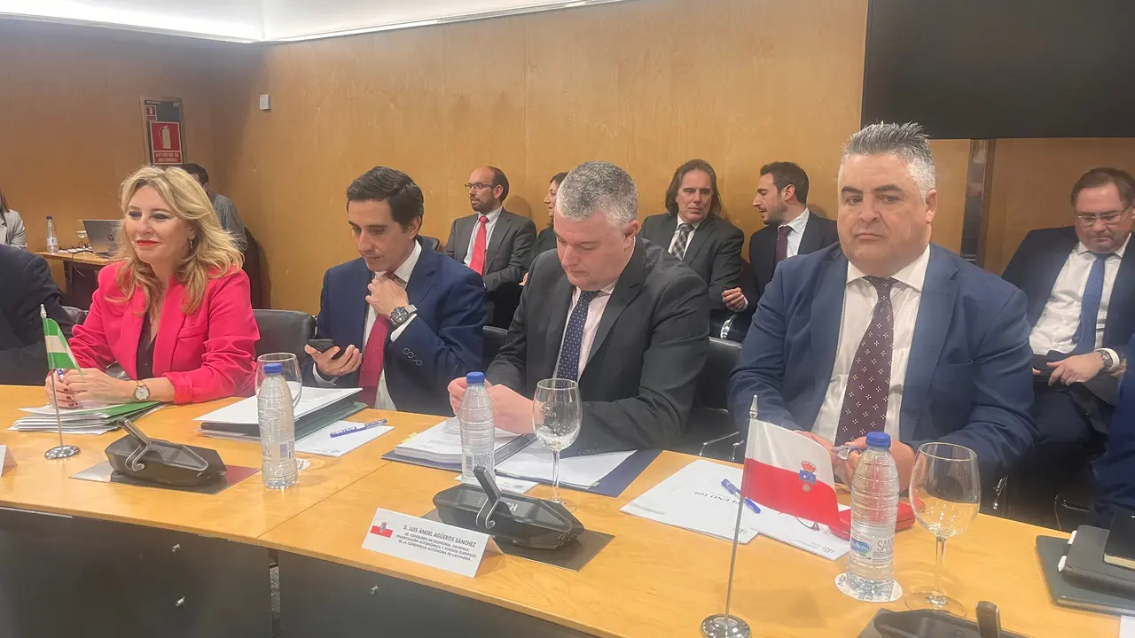 El consejero de Econom&iacute;a, Luis &Aacute;ngel Ag&uuml;eros, durante la reuni&oacute;n. / A.E.