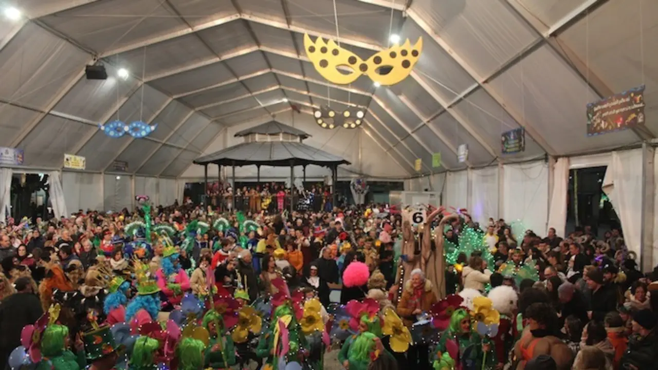 Varias personas en el Carnaval de Santo&ntilde;a. / FB