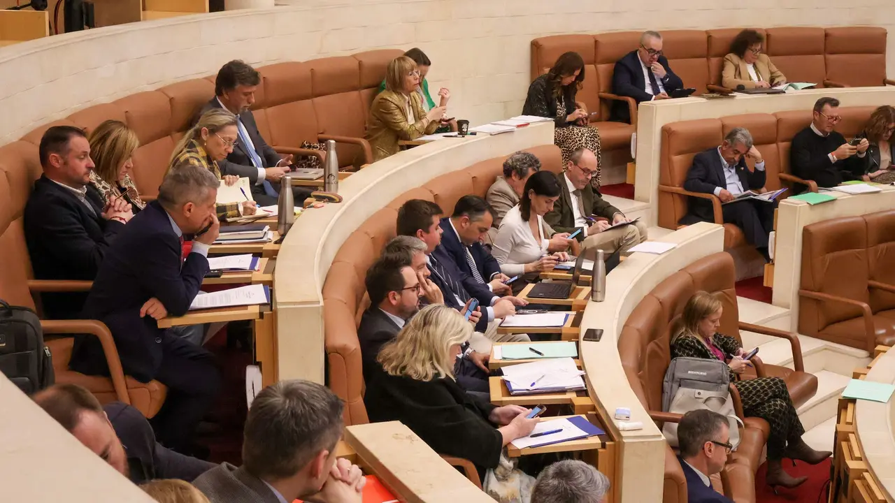 Sesi&oacute;n plenaria de la pasada semana. / X