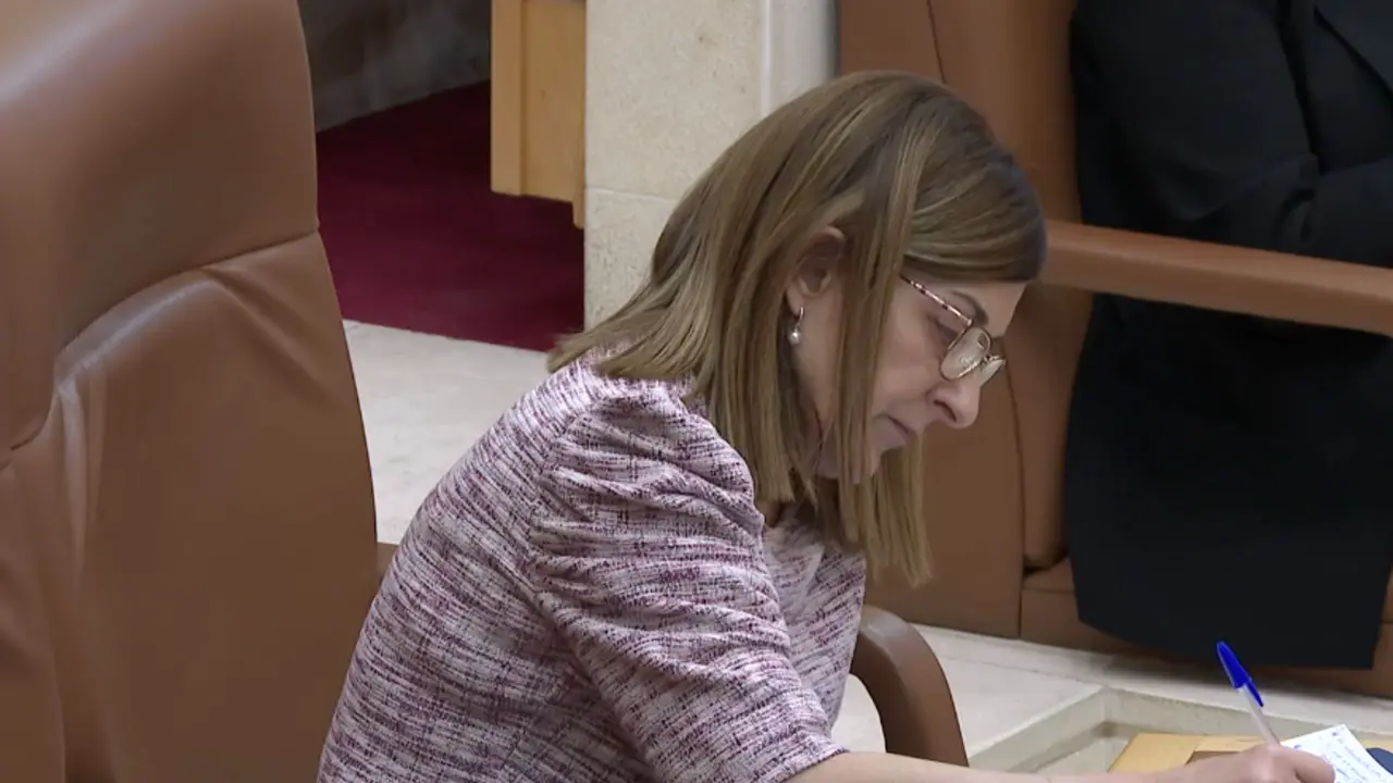 Mar&iacute;a Jos&eacute; S&aacute;enz de Buruaga durante una sesi&oacute;n plenaria. / A.E.