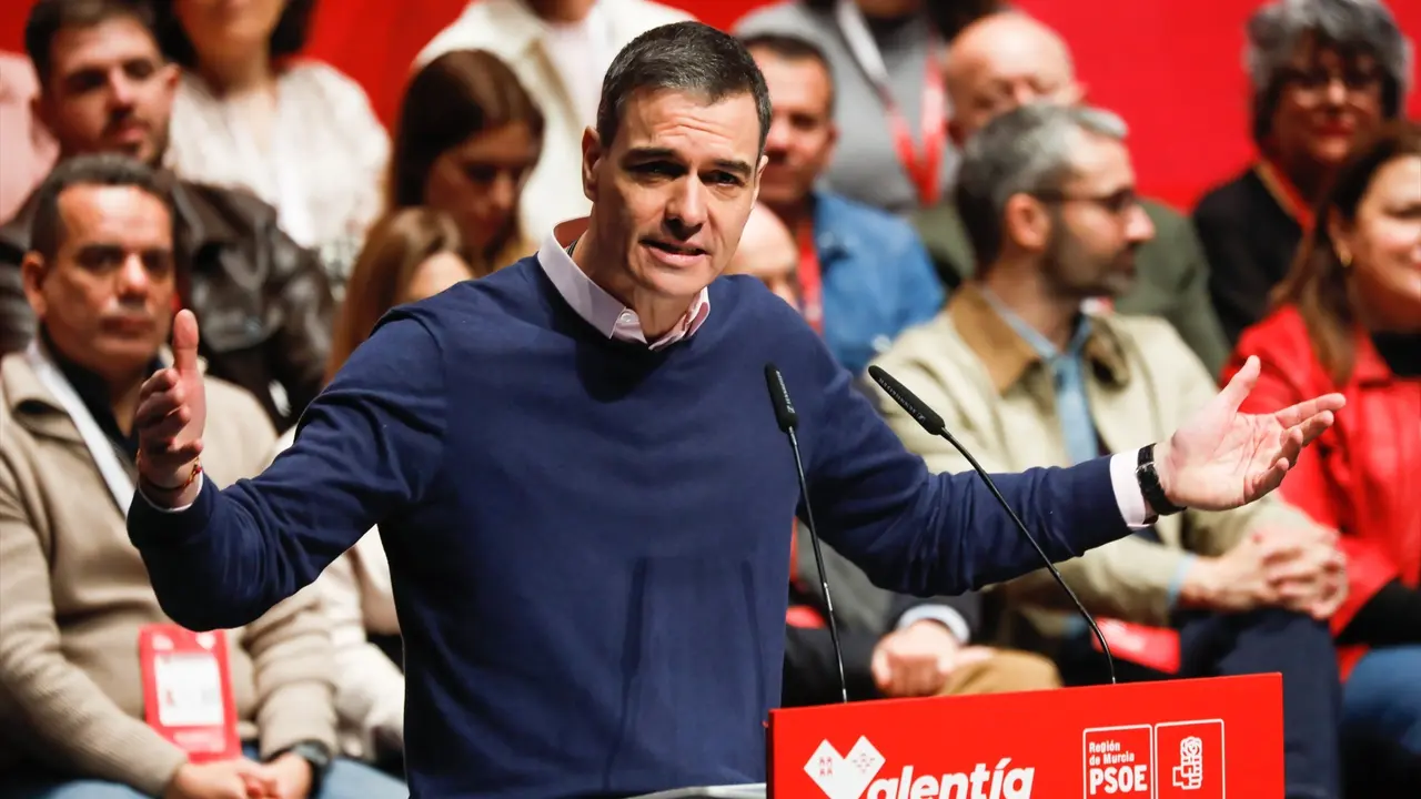 El secretario general del PSOE y presidente del Gobierno, Pedro S&aacute;nchez. / Edu Botella