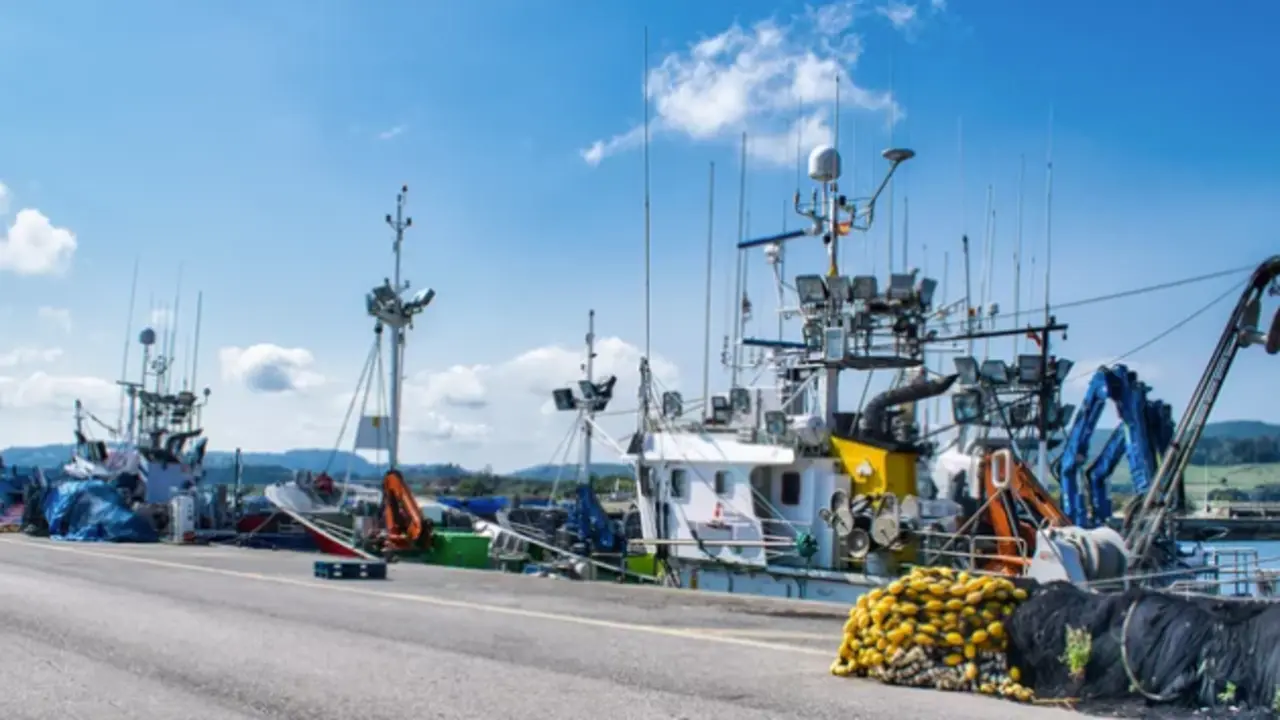 Barcos pesqueros amarrados en el puerto de Santo&ntilde;a. / A.S.