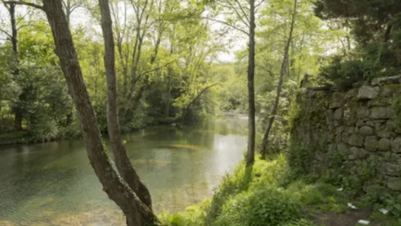 El manantial m&aacute;gico de Cantabria. / A.S.P