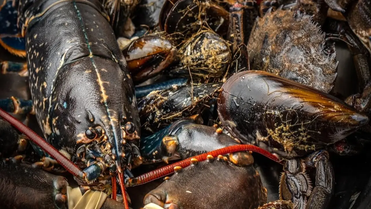 Una de las mariscadas que prepara el restaurante. / IG