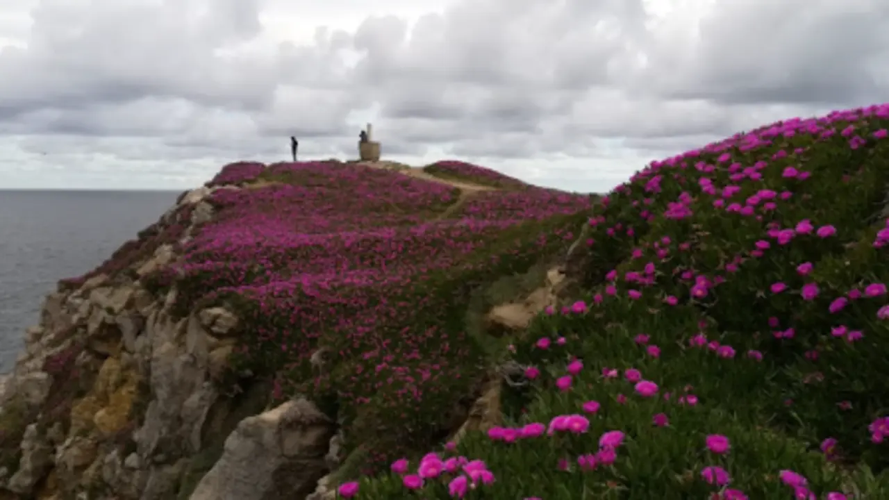 El Mirador de la Punta del Dichoso. / A.E