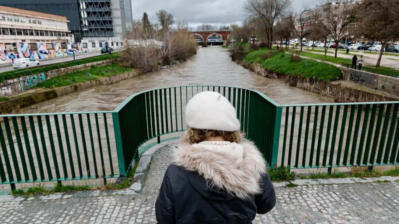 Una mujer observa el r&iacute;o Manzanares a su paso por el puente de los Franceses. / Carlos Luj&aacute;n