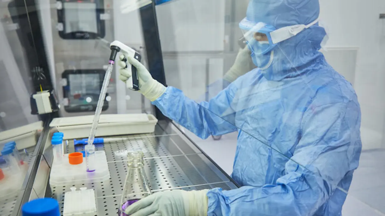 El desarrollo final de la vacuna gallega contra la tuberculosis. / ZENDAL