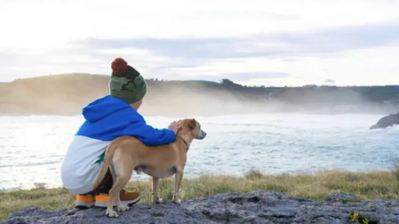 Un ni&ntilde;o observa el mar Cant&aacute;brico junto a su perro en una ma&ntilde;ana fresca y brumosa, en la costa de Cantabria.