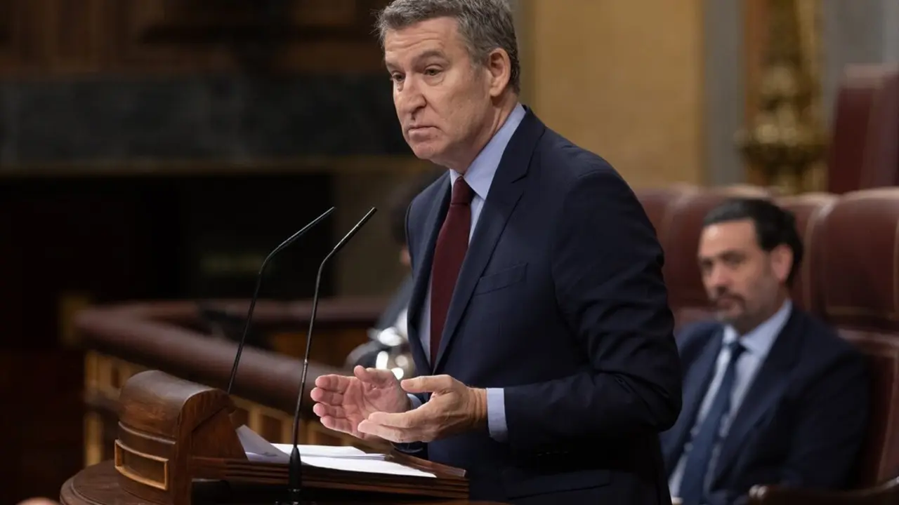 El presidente del PP, Alberto N&uacute;&ntilde;ez Feij&oacute;o, interviene durante una sesi&oacute;n plenaria en el Congreso. / Eduardo Parra