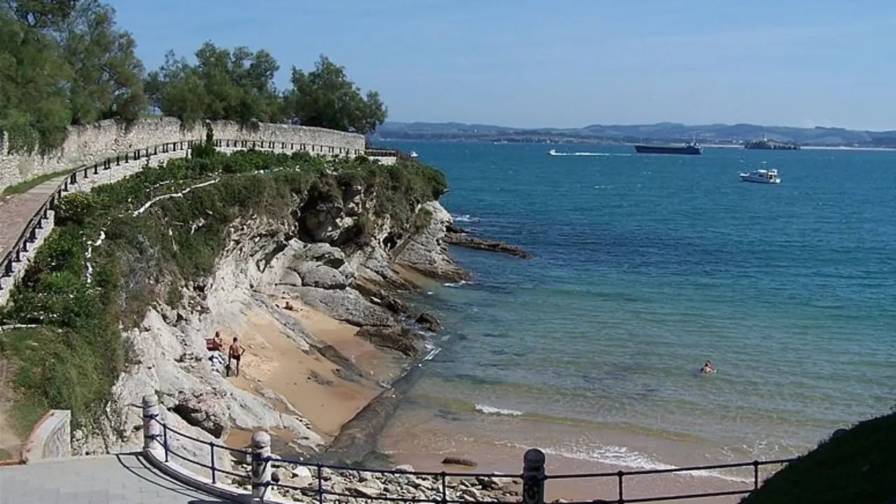 La playa de Los Molinucos se probar&aacute; como playa canina durante este verano. / Alerta