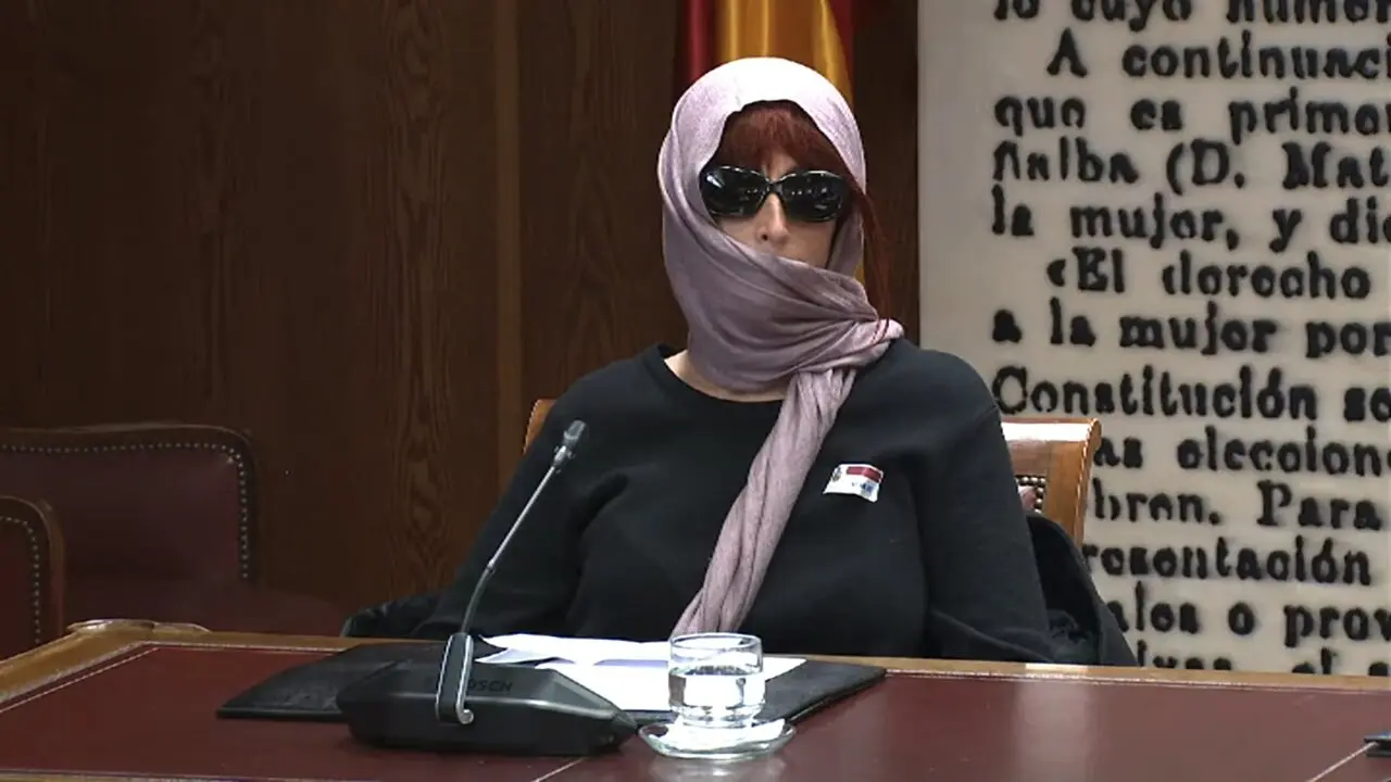 Patricia &Uacute;riz, durante su comparecencia. / EP