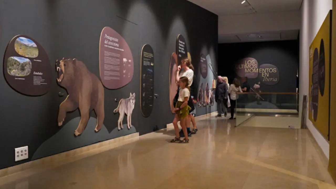 Una exposici&oacute;n sobre prehistoria en el Museo de Altamira. / ep