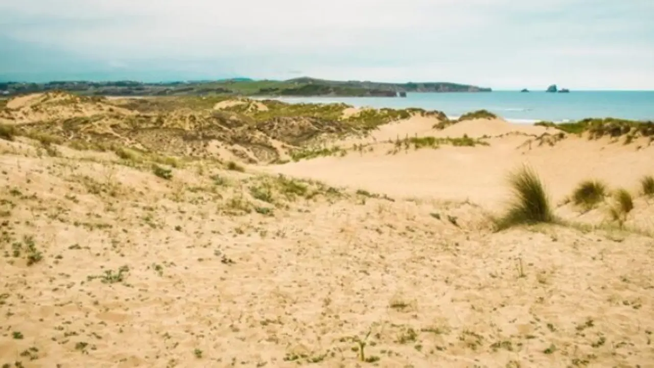 Dunas de Liencres. / A.S.