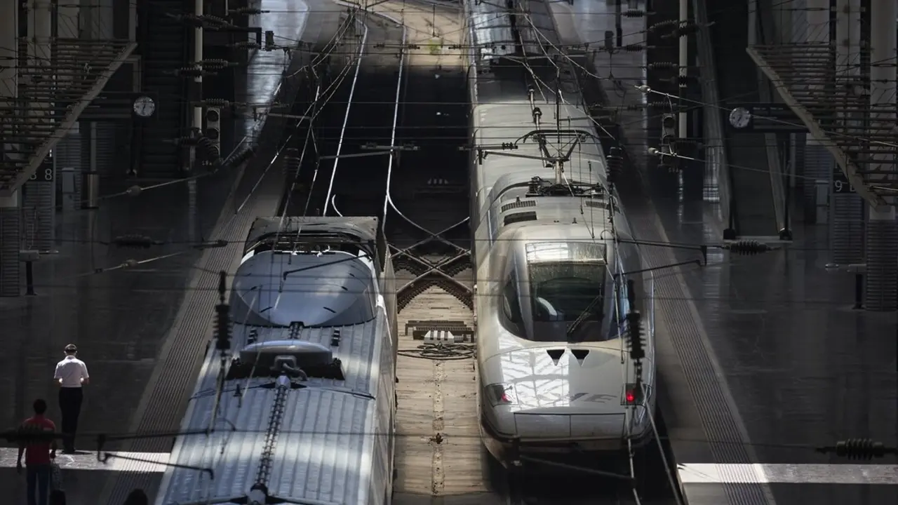 Varios trenes en la estaci&oacute;n de trenes Puerta de Atocha-Almudena Grandes. / Jes&uacute;s Hell&iacute;n