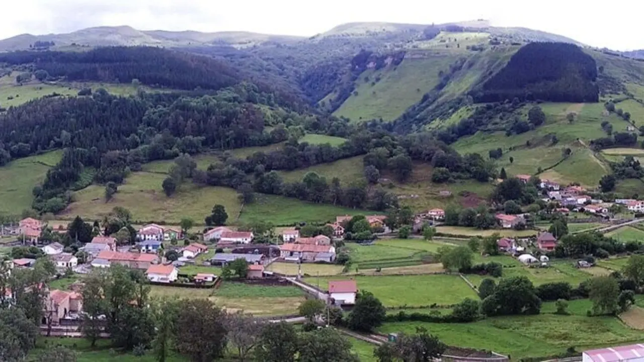 Vista general de San Mart&iacute;n de Toranzo. / T.C
