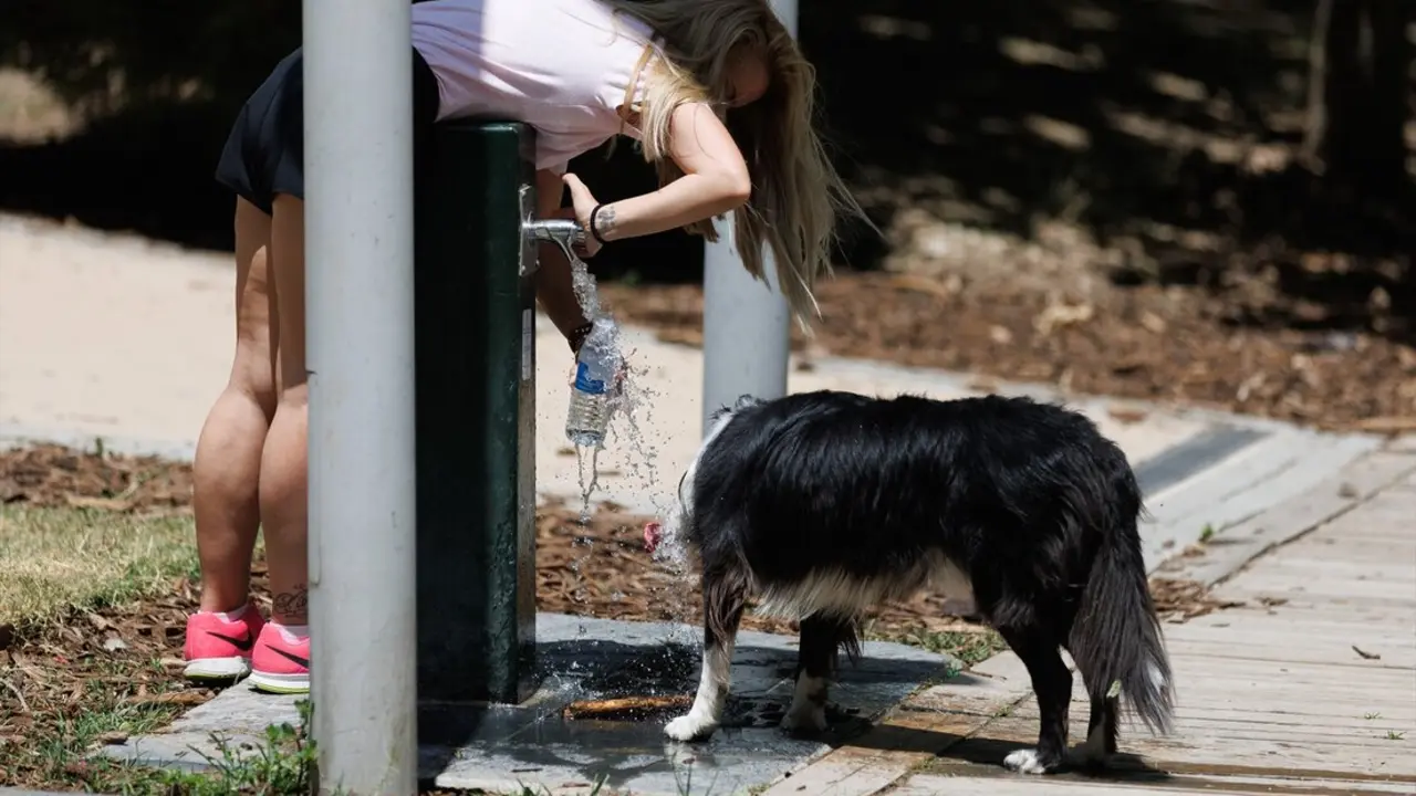 Una mujer y un perro cogen agua en una fuente. / Eduardo Parra