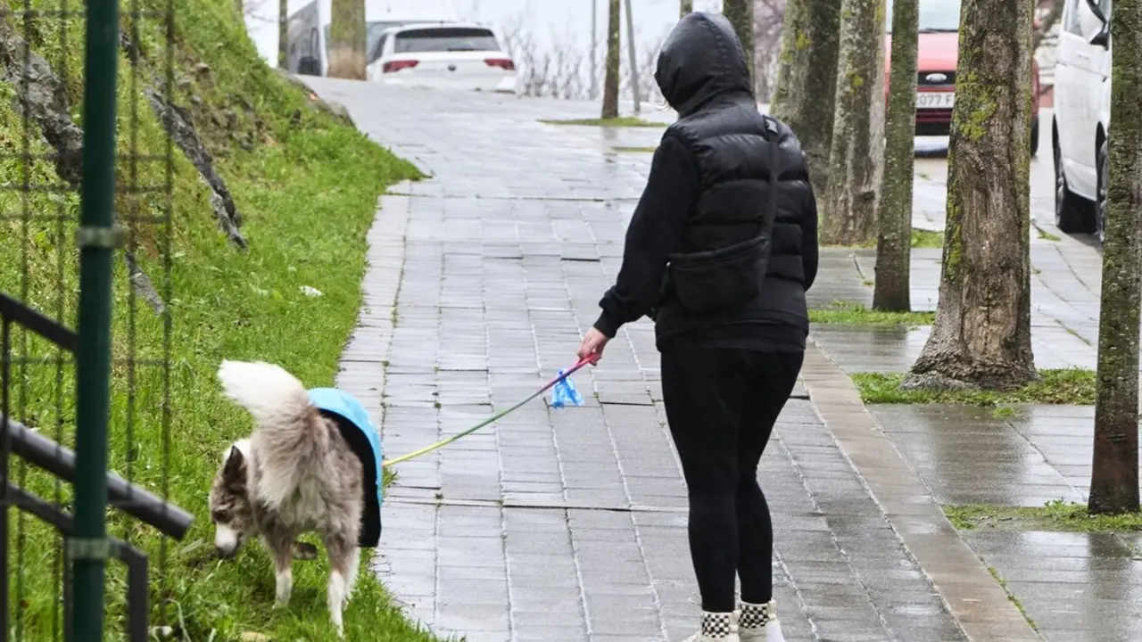 Una persona paseando por Santander con su perro en un d&iacute;a de lluvia. / C&eacute;sar Ortiz