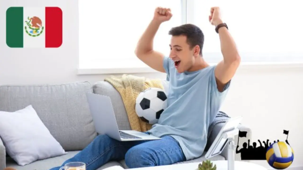 Una persona viendo un partido. / A.E.