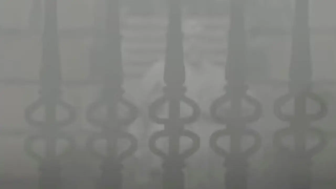 Fotograma del documental 'Niebla'. / x