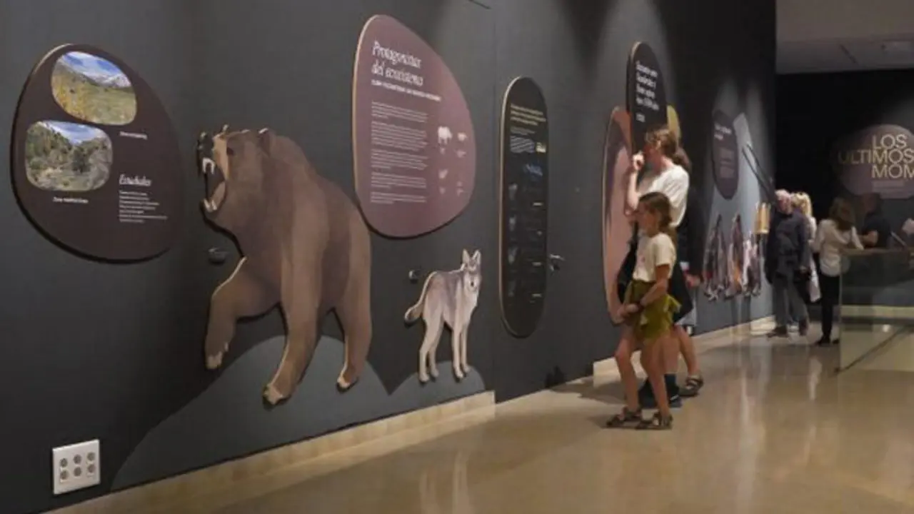 Exposici&oacute;n 'El declive neandertal' en el Museo de Altamira. / x