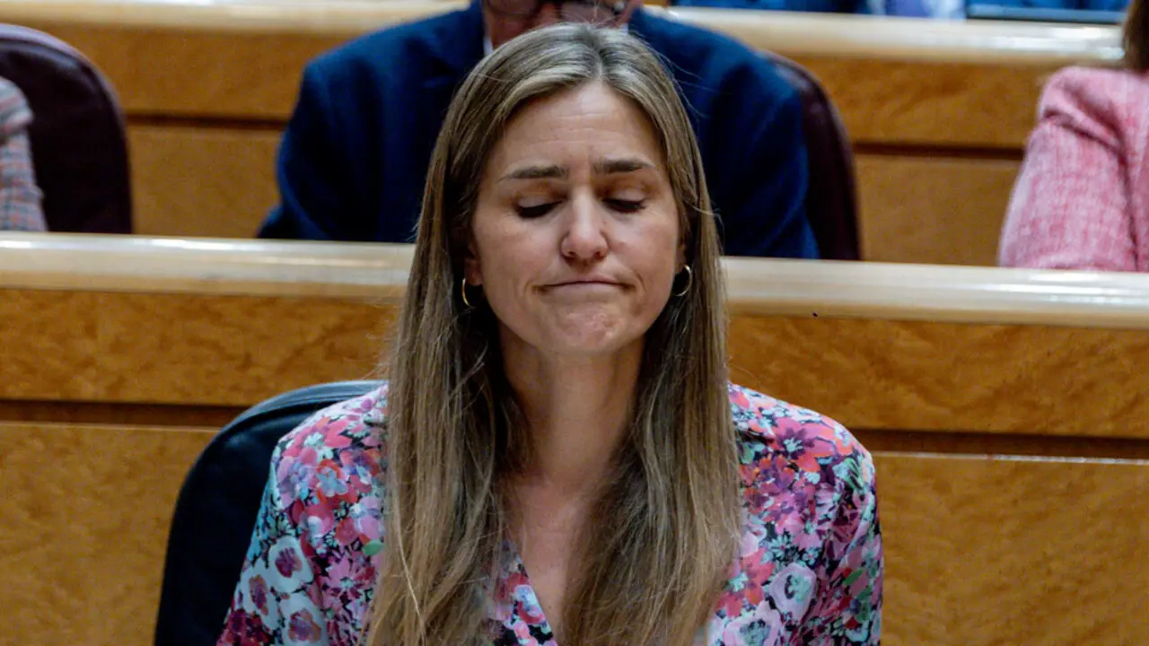 La vicepresidenta del Gobierno y ministra para la Transici&oacute;n Ecol&oacute;gica y el Reto Demogr&aacute;fico, Sara Aagesen, durante una sesi&oacute;n de control al Gobierno en el Senado. / EP
