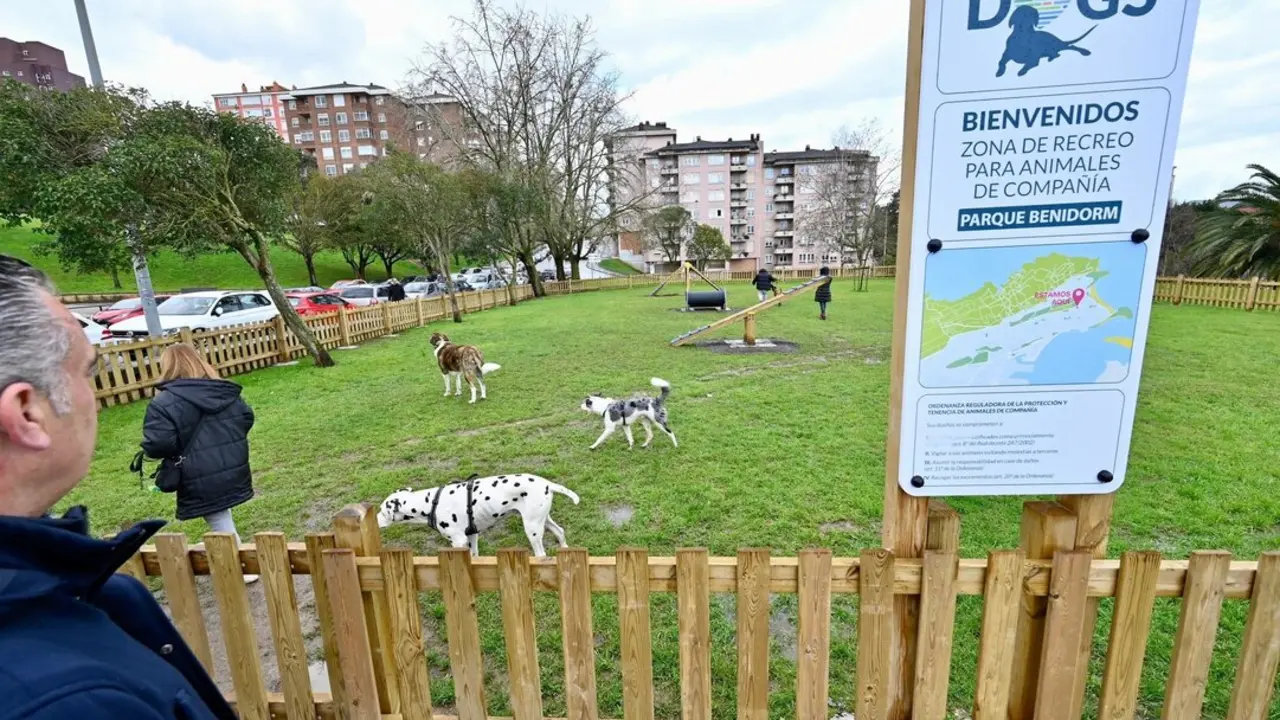 Varios perros en el nuevo espacio canino. / A.E