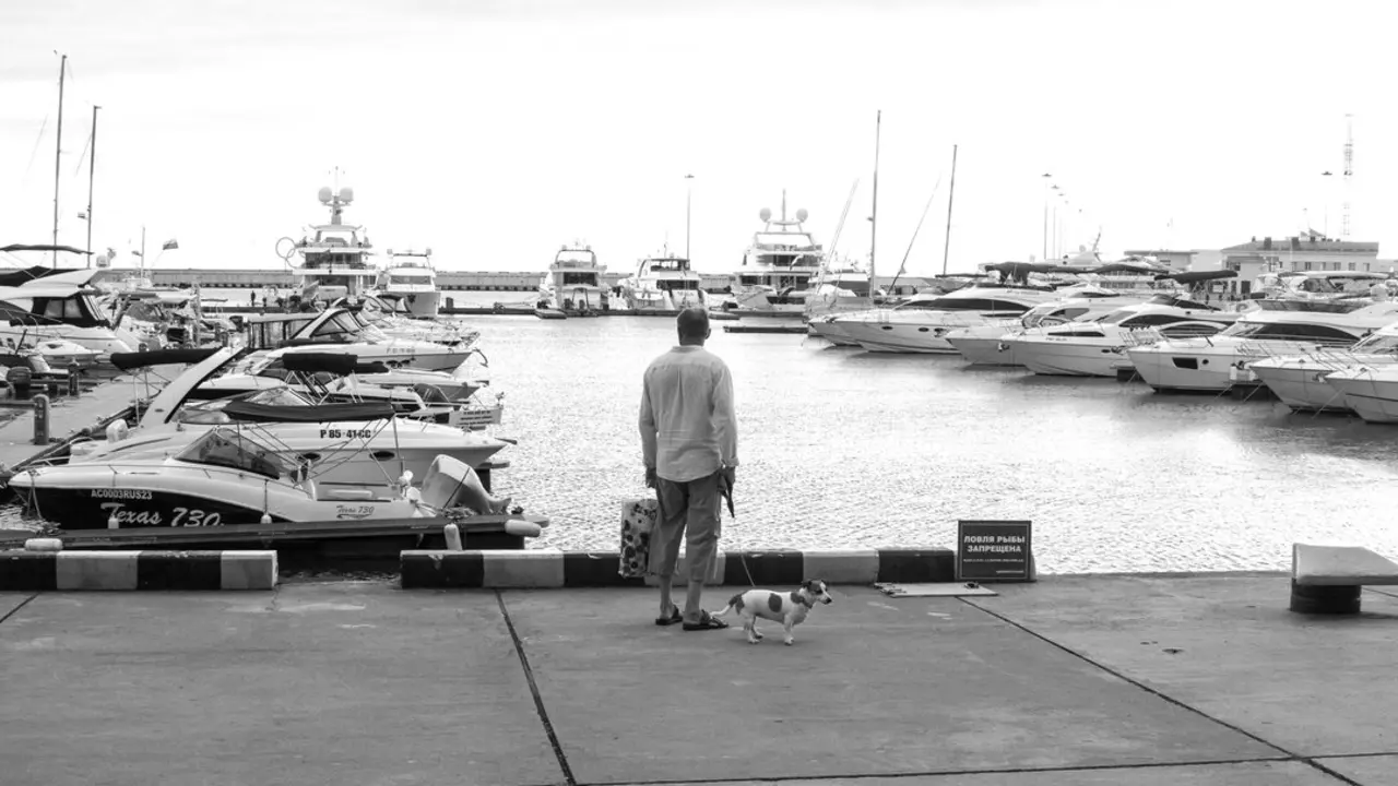 Un hombre da un paseo con su perro. / A.E